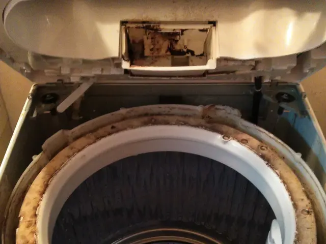 分解クリーニングで内部も清潔に　【引越やご出産前】【日立製対応】【ドラム式不可】サービスの画像