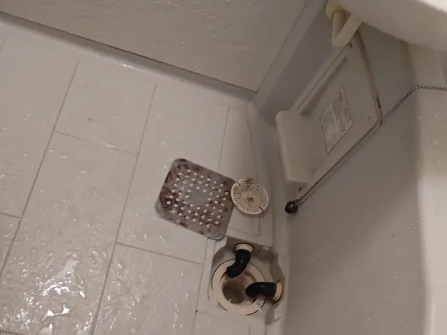 関西圏 簡易清掃 (お風呂と換気扇  2点のみ)(対応不可 例あり)サービスの画像