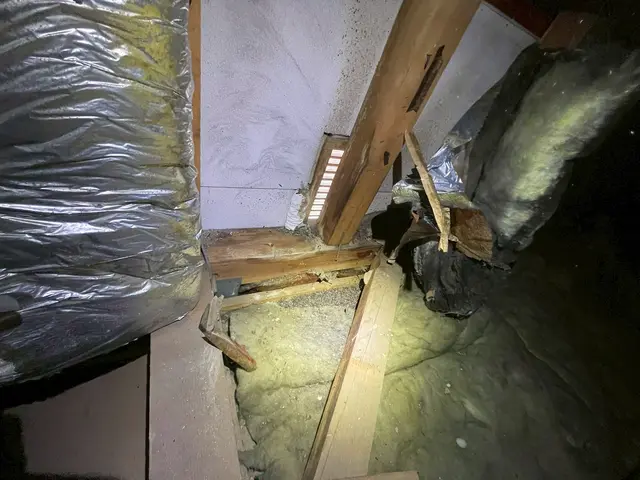 女性スタッフによる即日対応！塗装まで一貫してお任せ頂けます。サービスの画像