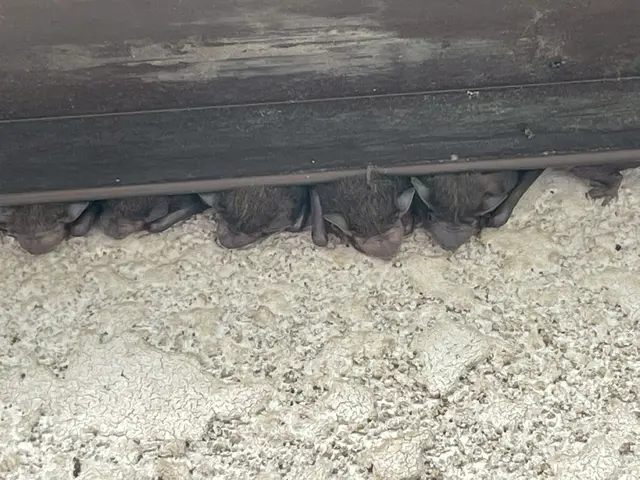 女性スタッフによる即日対応！塗装まで一貫してお任せ頂けます。サービスの画像