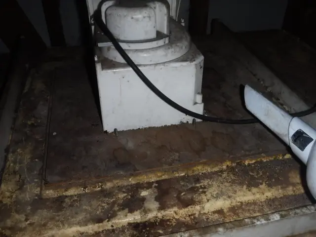 【動物のことなら何でも相談！】静岡県中部地区密着◎2024新規開店お祝い価格！サービスの画像