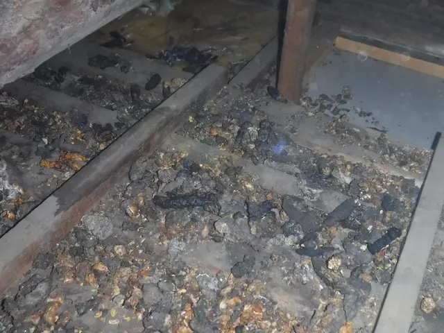 【動物のことなら何でも相談！】静岡県中部地区密着◎2024新規開店お祝い価格！サービスの画像