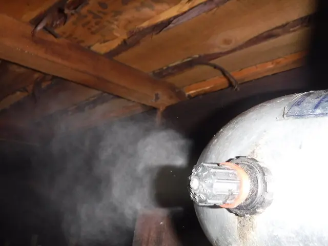 【動物のことなら何でも相談！】静岡県中部地区密着◎2024新規開店お祝い価格！サービスの画像