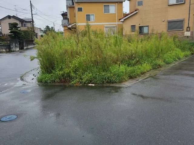 お掃除屋さんの草刈りサービス！！サービスの画像