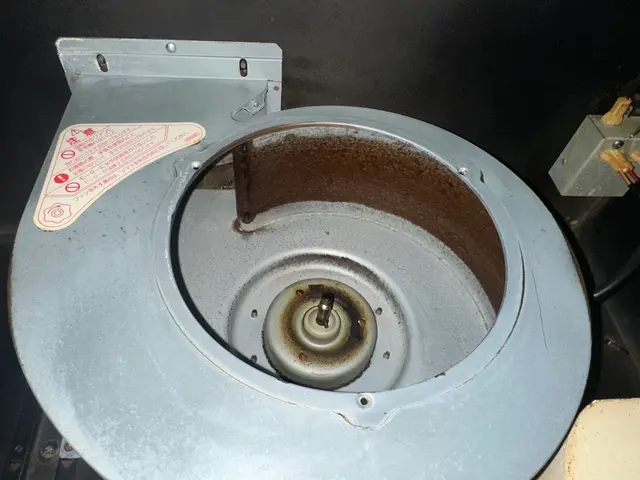 9年以上実績信頼安心”３月いっぱいまで”出店祝い今だけの期間限定値段☆サービスの画像