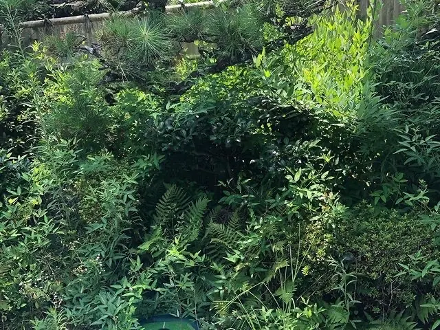 【業歴10年以上の経験】作業外注なし！仕上がり保証あり！お任せください！サービスの画像