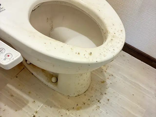 大手経験7年！丁寧な仕上がりで安心のクリーニングサービスの画像