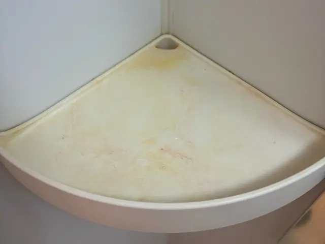 浴室クリーニング｜水垢・黒カビ・皮脂汚れを徹底洗浄サービスの画像