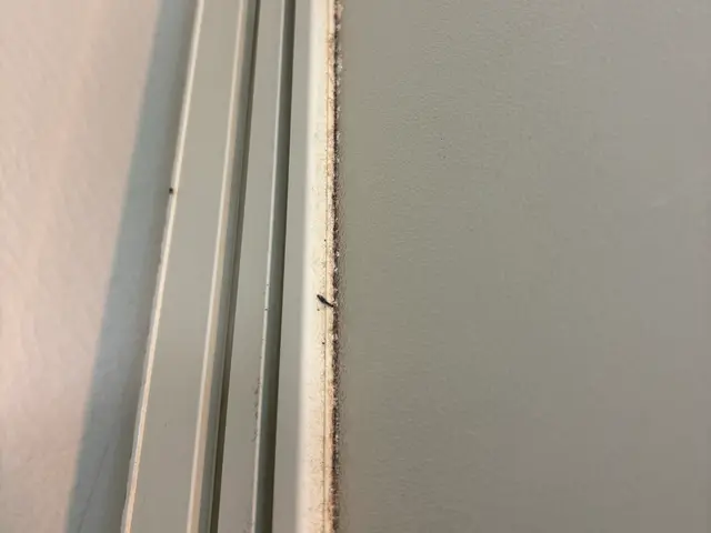 浴室クリーニング｜水垢・黒カビ・皮脂汚れを徹底洗浄サービスの画像