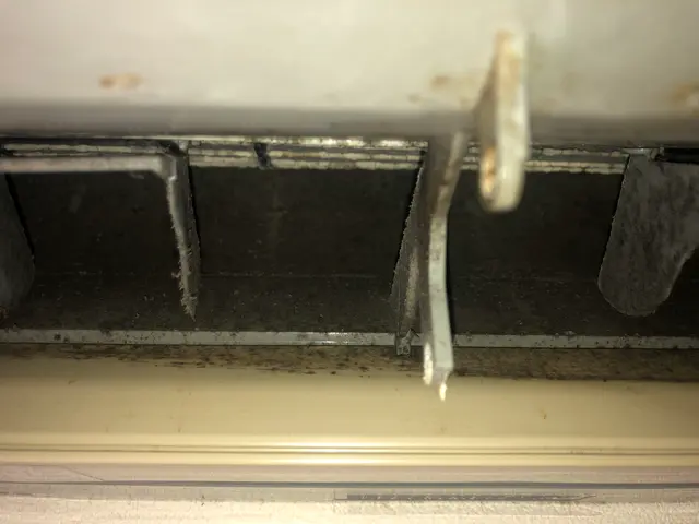 損害保険加入済み◇追加料金一切無し！プロの技術で徹底洗浄♬サービスの画像