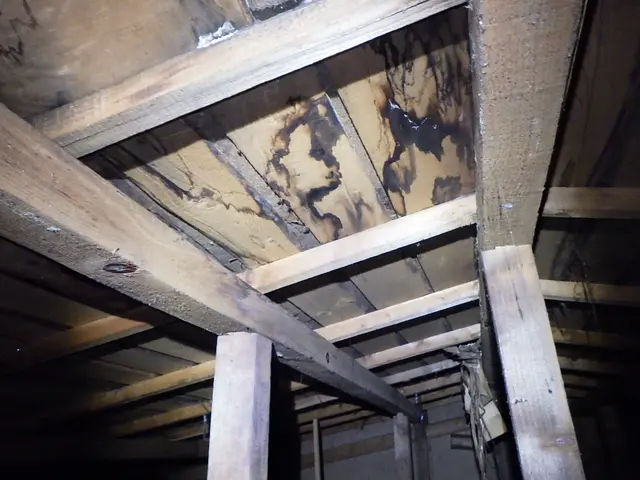 東京都・年中無休【必ず一級建築士が住宅検査に同行し丁寧に調査・報告致します】サービスの画像