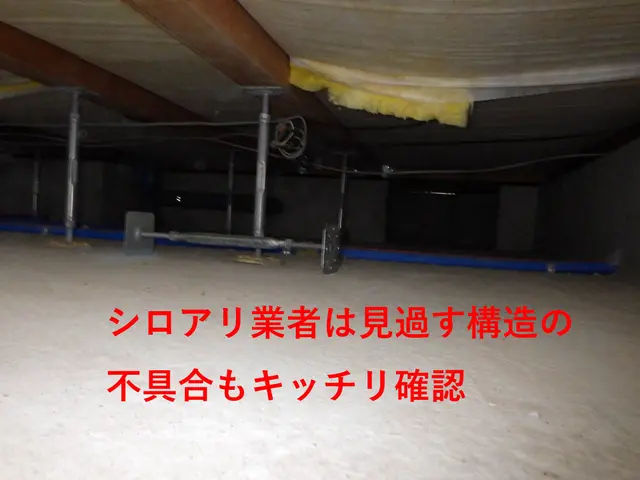 東京都・年中無休【必ず一級建築士が住宅検査に同行し丁寧に調査・報告致します】サービスの画像