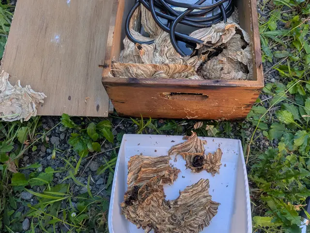 営業時間外・対応地域外も相談可能！事前説明と損害保険で安心して任せられるサービスの画像