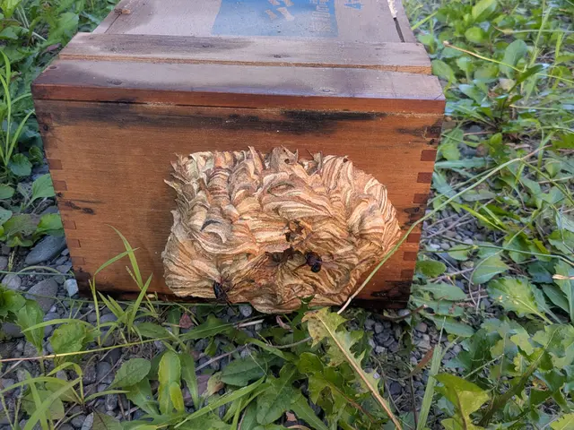 営業時間外・対応地域外も相談可能！事前説明と損害保険で安心して任せられるサービスの画像