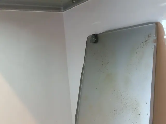 プロの技術でご満足いただけるように心を込めて作業いたしますサービスの画像