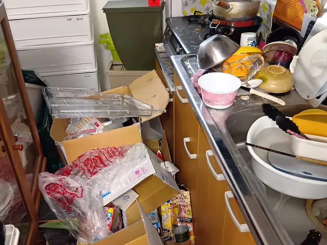 ❴☆お部屋も心もスッキリ☆❵片付けたいけど片付けられないアナタへ★サービスの画像