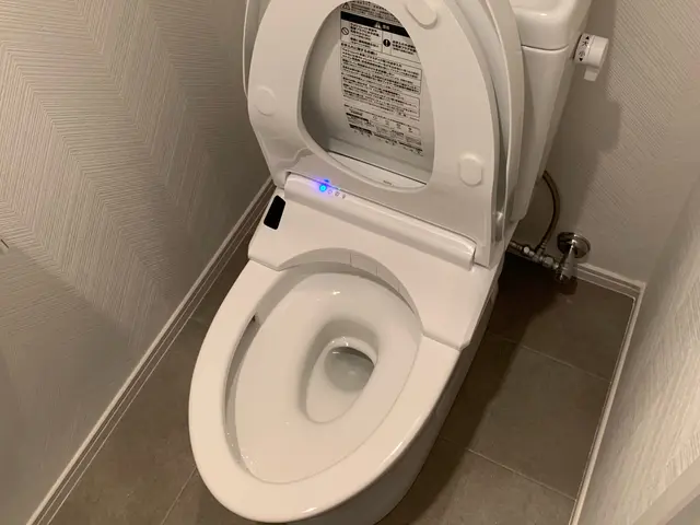 【夫婦2人で訪問致します】トイレ　一式クリーニング致します！必ず運気もUP！！！サービスの画像