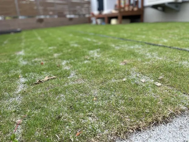 【業歴14年の実績】地域密着店◎営業時間外も対応可能◎サービスの画像