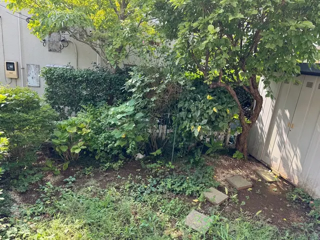 【土日祝対応可】一級造園技能士施工☆5000件以上の作業実績★損害保険加入済サービスの画像