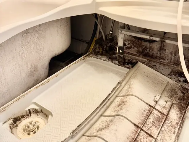 【ハウスクリーニングたまちゃん】★自社丁寧施工★お気軽にお問い合わせ下さい♩.•サービスの画像