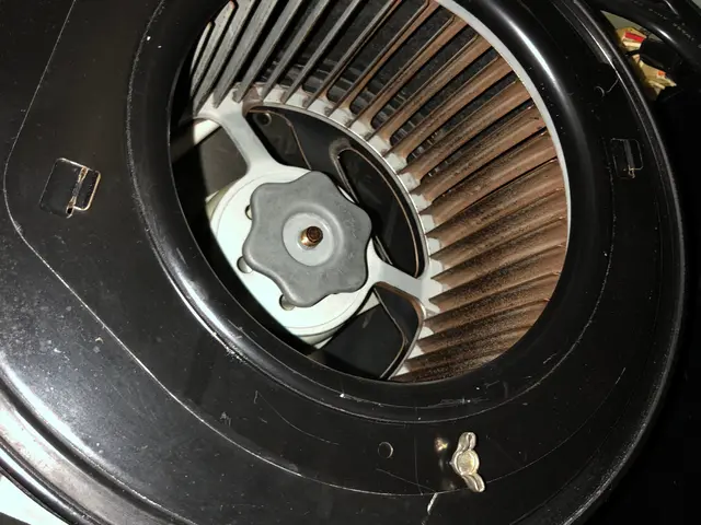 御自身では難しいお掃除、任せてください！サービスの画像