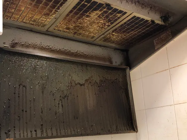 御自身では難しいお掃除、任せてください！サービスの画像