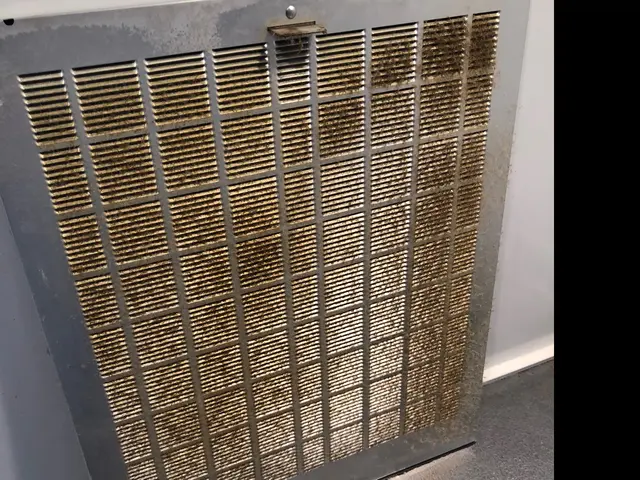 御自身では難しいお掃除、任せてください！サービスの画像