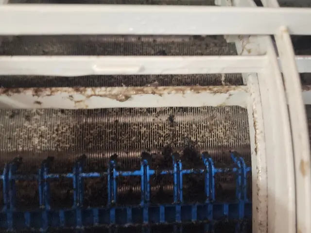 期間限定特別価格！ ★高品質抗菌剤使用★店長訪問の丁寧な作業と親切な対応で！サービスの画像