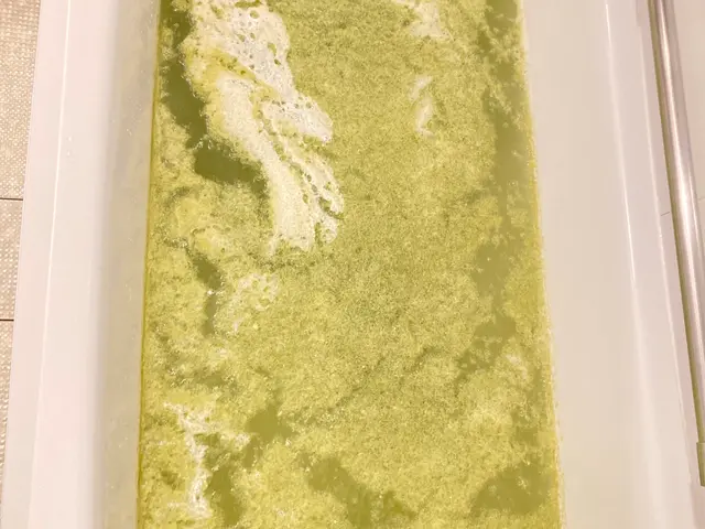 追い焚き配管洗浄サービスの画像