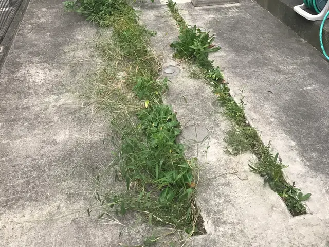 ★丁寧な草むしり★草むしり後のごみ回収もお任せ！★ご要望は何でもお聞かせくださいサービスの画像