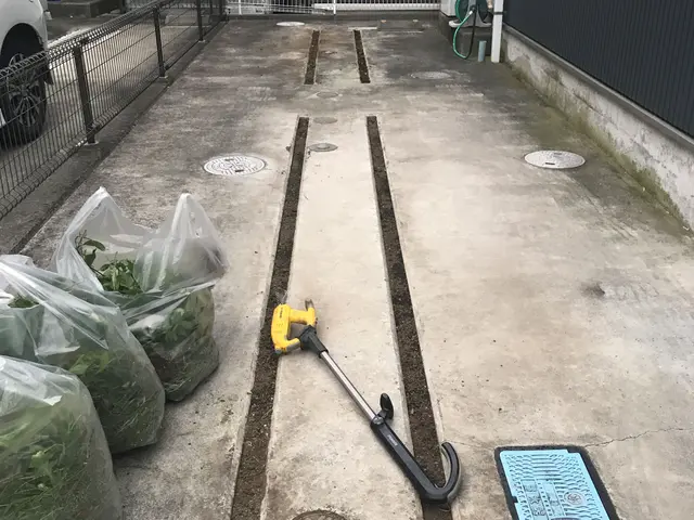 ★丁寧な草むしり★草むしり後のごみ回収もお任せ！★ご要望は何でもお聞かせくださいサービスの画像