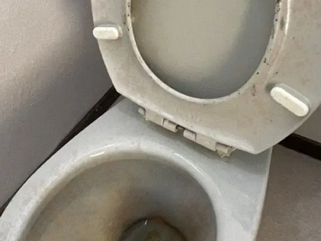 【トイレクリーニングはお任せ下さい！】PayPay・他QR対応／損害保険加入サービスの画像