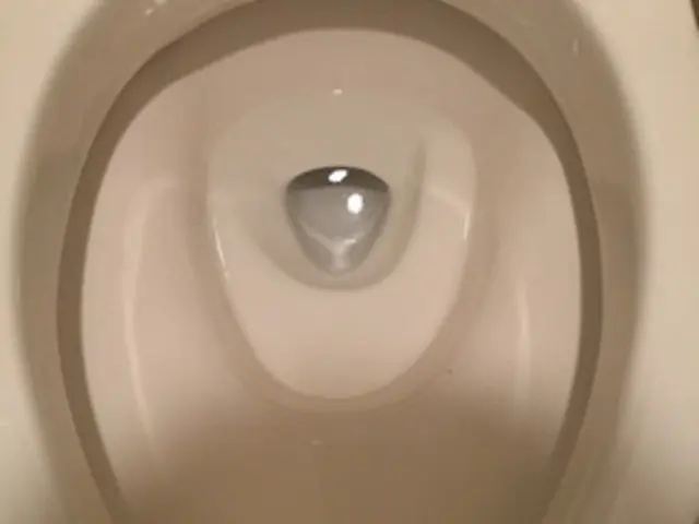 【トイレクリーニングはお任せ下さい！】PayPay・他QR対応／損害保険加入サービスの画像