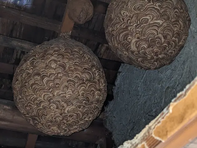 1万件以上の実績！お客様の安全第一◎即日対応可能です！サービスの画像