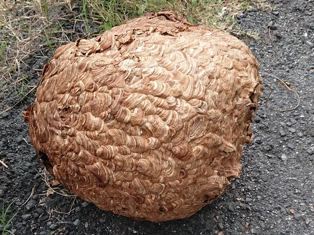 1万件以上の実績！お客様の安全第一◎即日対応可能です！サービスの画像