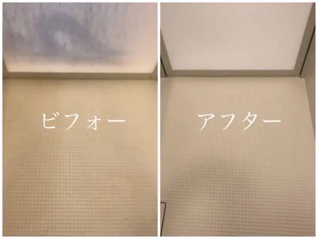 11月のサービス！【防カビコート3300円無料】女性の訪問◆90分◆高圧洗浄サービスの画像