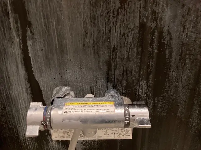 11月のサービス！【防カビコート3300円無料】女性の訪問◆90分◆高圧洗浄サービスの画像