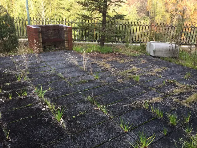 【草刈り】お気軽にお問い合わせください!営業時間外の予約もご相談ください♬サービスの画像