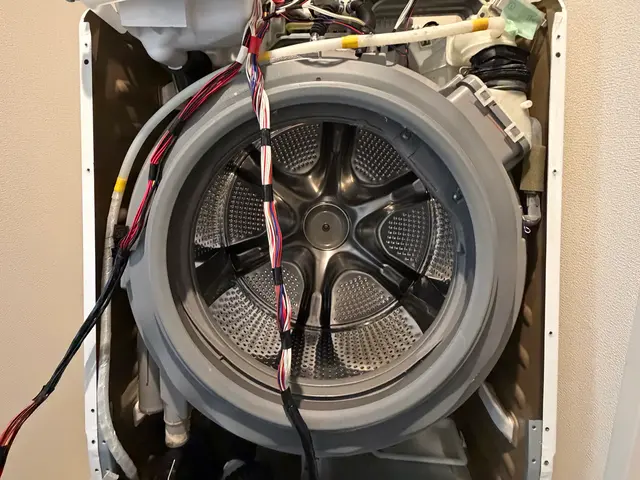 縦型洗濯機分解クリーニングサービスの画像