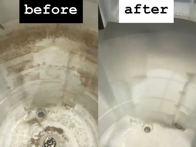 縦型洗濯機分解クリーニングサービスの画像