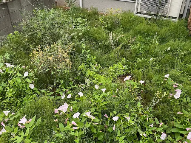 【草刈り機】100%自社対応◎営業時間外・対応地域外もご相談ください。サービスの画像