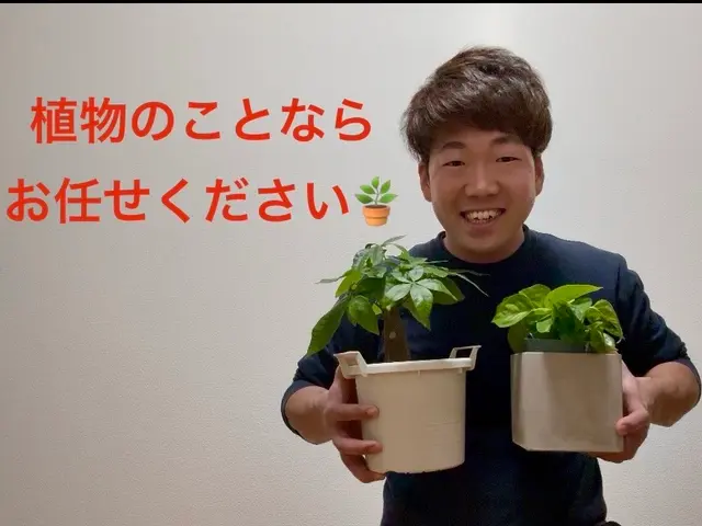 ◆僕に依頼すると【良いことあります】◆作業実績200件以上◆3/19から対応可能サービスの画像