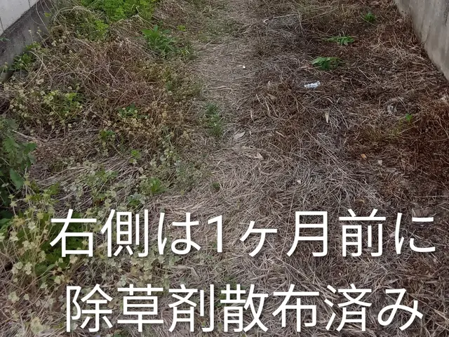 栃木群馬埼玉茨城！迅速対応　草刈します！！サービスの画像