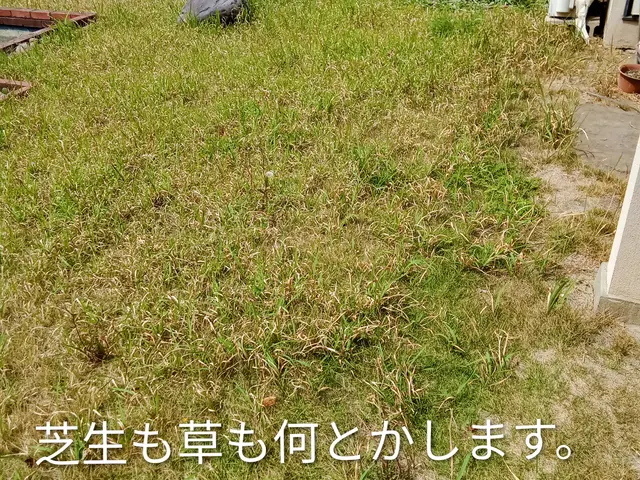 栃木群馬埼玉茨城！迅速対応　草刈します！！サービスの画像