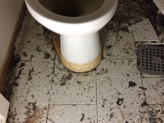 毎月10名税込7,000円　リピート割ありサービスの画像