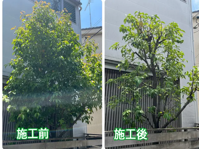 イメージ通りの仕上がりを！お客様の要望に忠実な庭木の剪定サービスサービスの画像