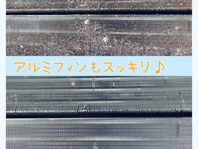 ★咳や鼻水でお困りの方へ★アレルギーを抑える天然洗剤洗浄★リピートが多い専門店サービスの画像
