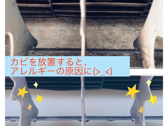 ★咳や鼻水でお困りの方へ★アレルギーを抑える天然洗剤洗浄★リピートが多い専門店サービスの画像