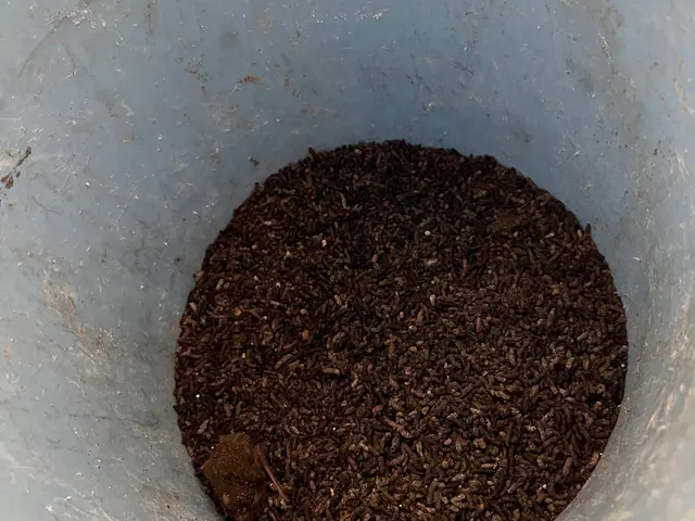 豊富な経験により見つからない・わからなかった侵入経路を発見、対策し再発時保証有りサービスの画像