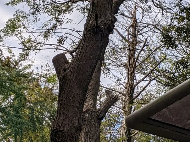 かとう造園【亀山市、鈴鹿市、四日市市、津市】一度ご相談ください。見積り無料サービスの画像